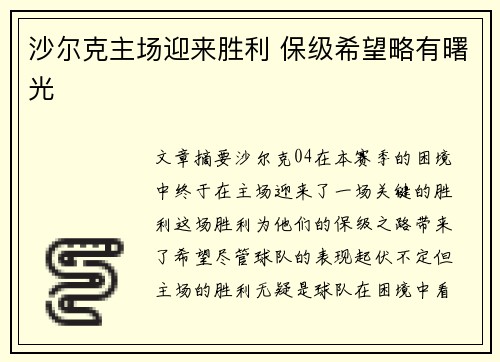 沙尔克主场迎来胜利 保级希望略有曙光
