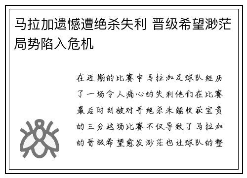 马拉加遗憾遭绝杀失利 晋级希望渺茫局势陷入危机